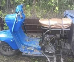 Муравей